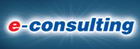 E-Consulting