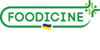 Фудіцина